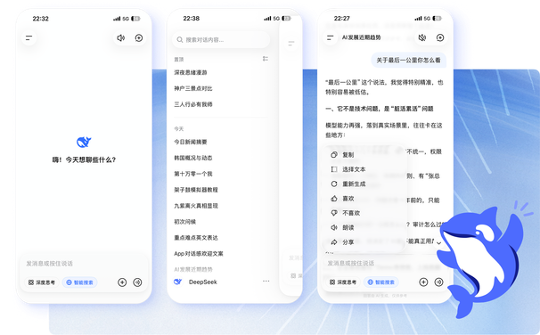 DeepSeek 密钥准备画面
